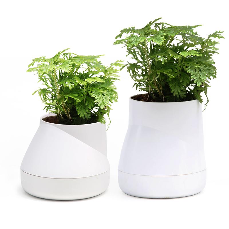 SPECIAL PRICE🎈 Qualy Hill Pot S / L - Image 4