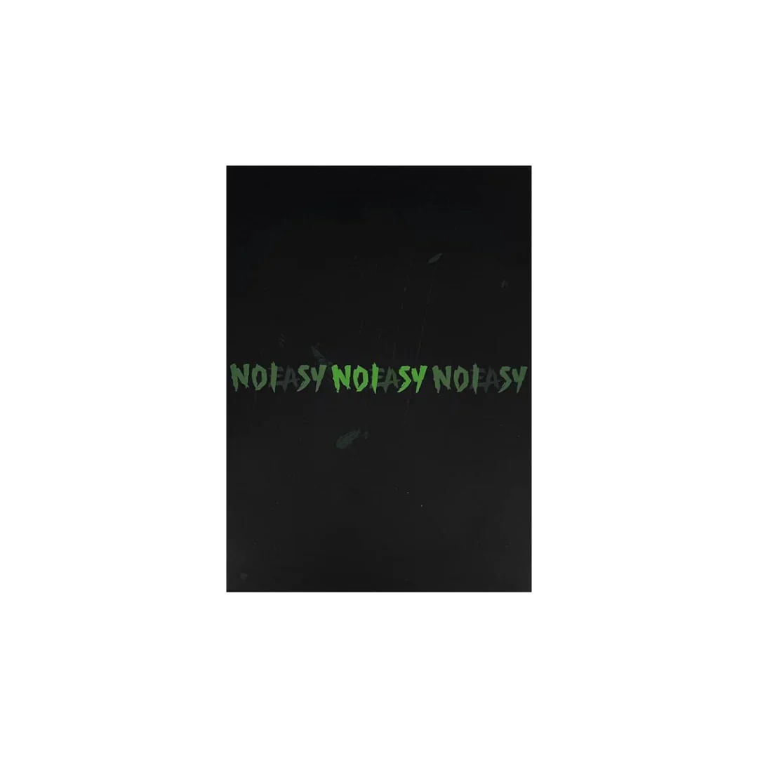 Special Price💿 스트레이 키즈 Stray Kids - The 2nd Album 'NoEasy' (Standard Ver.) - Image 2