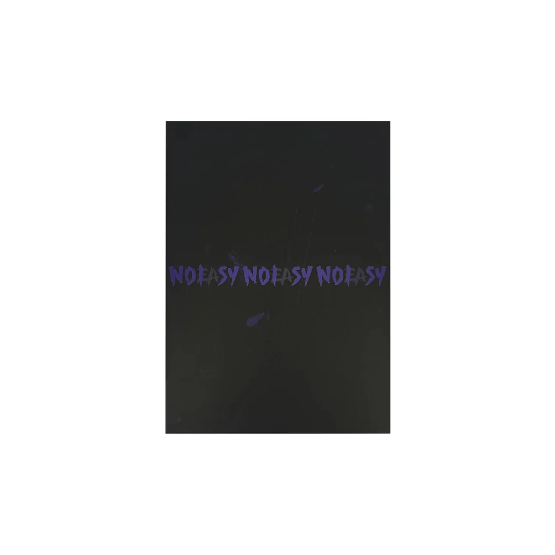 Special Price💿 스트레이 키즈 Stray Kids - The 2nd Album 'NoEasy' (Standard Ver.) - Image 3